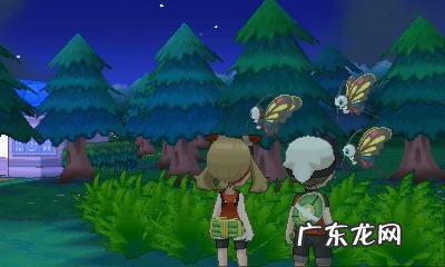 口袋妖怪黑白2二周目n在哪里 口袋妖怪 黑白 二周目