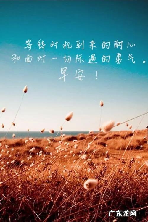 哪家的汽车保险最便宜?