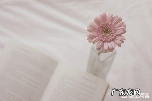 哪些句子不言情而情自深?