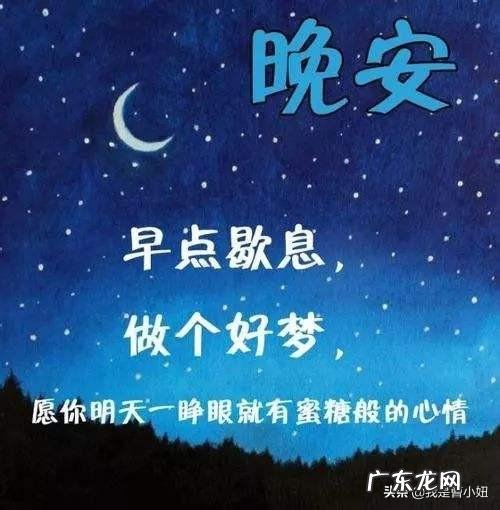 哪些句子不言情而情自深?