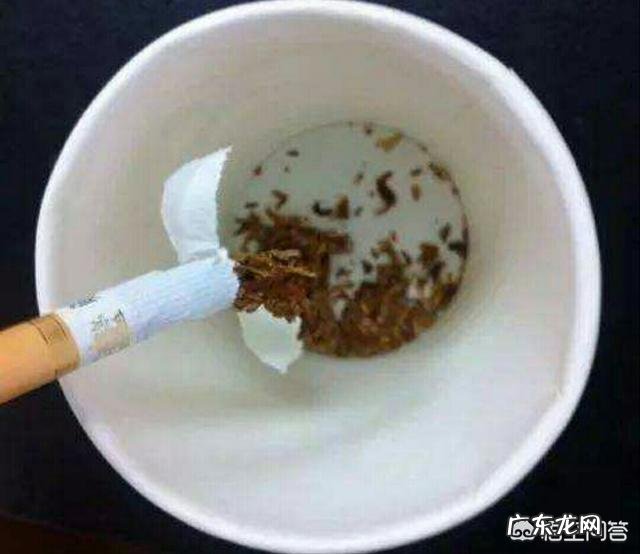 花盆土壤里密密麻麻的小虫怎么办？