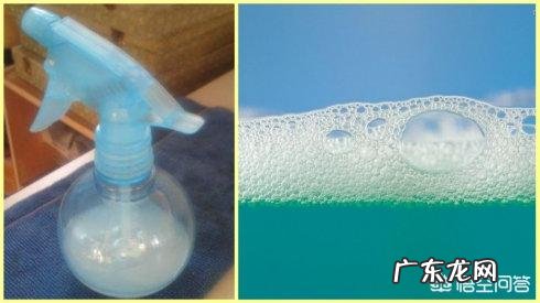 花盆土壤里密密麻麻的小虫怎么办？