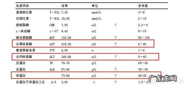 肝脏的这个人体部位发疼,是不是说明肝脏有毛病?