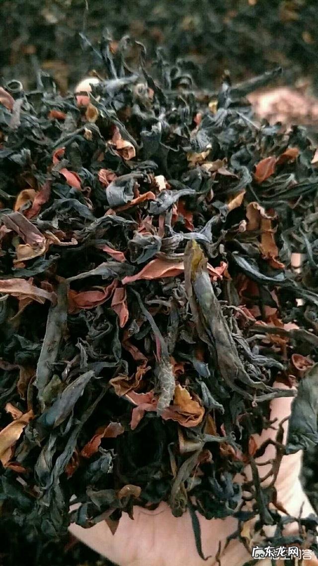 中国是谁最早发现的茶？最早的茶是什么茶？