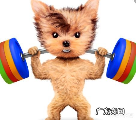 有什么短时间内能出汗,并且相对来说也比较容易坚持下去的室内运动吗?