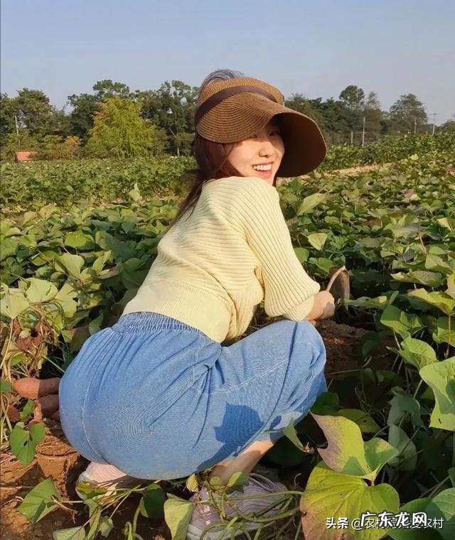 现在农村什么生意做的人很少?哪些将会是未来农村暴利行业?