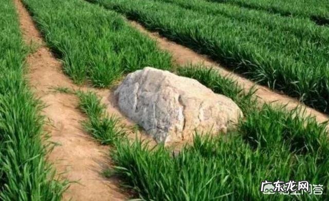 静山是全球最矮的山，仅高0.6米，为何称之为山？