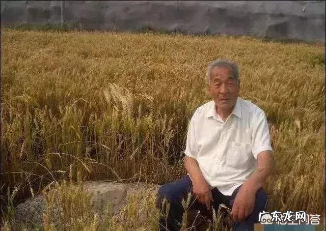 静山是全球最矮的山,仅高0.6米,为何称之为山?