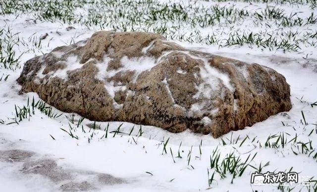 静山是全球最矮的山，仅高0.6米，为何称之为山？