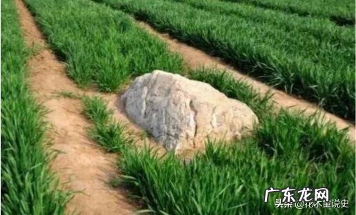 静山是全球最矮的山，仅高0.6米，为何称之为山？