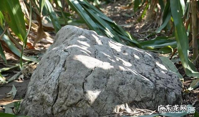 静山是全球最矮的山，仅高0.6米，为何称之为山？