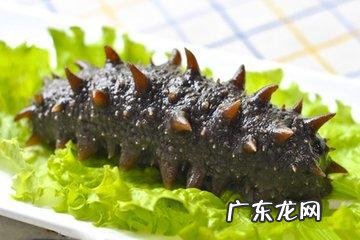 海参真有那么大的营养价值吗？