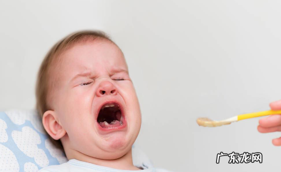 13个月的宝宝每天吃几顿饭合适?