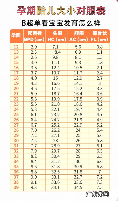 12-40周胎儿发育对照表,附胎儿体重计算公式!算算你家胎宝宝多重