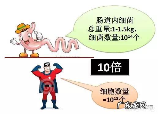 肠道不好的人会有什么症状?