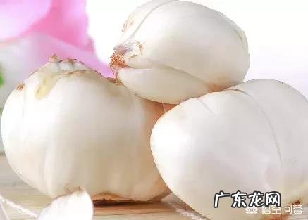 百合有什么功效?