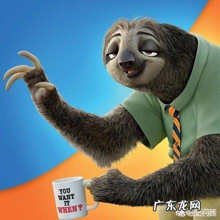 最丑的动物能有多辣眼睛?