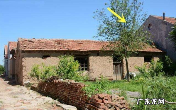 农村俗语:“东高不算高,西高累断腰”,西边高真的会累断腰么? 房子西边有高楼好不好