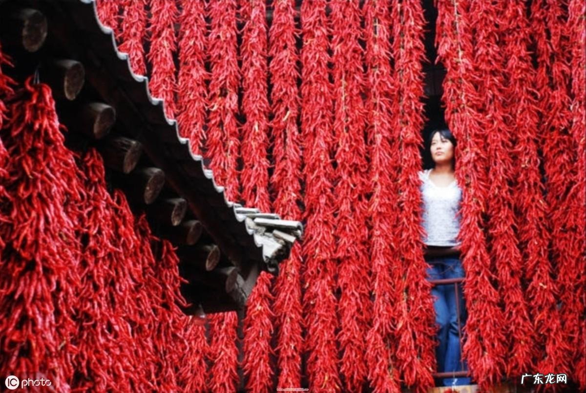 坐南朝北如何改善风水 饭店坐南朝北的风水好吗