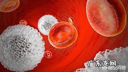 白细胞低的原因是什么？有什么危害？
