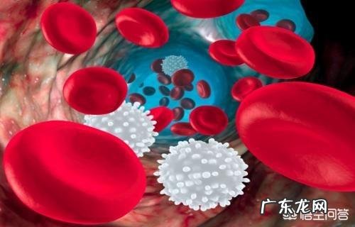 白细胞低的原因是什么？有什么危害？