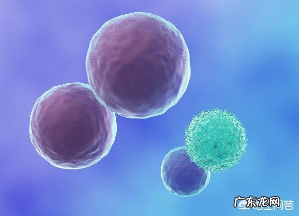 白细胞低的原因是什么？有什么危害？