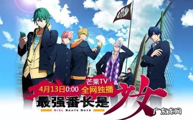 最强番长是少女 动漫 最强番长是少女一共多少集