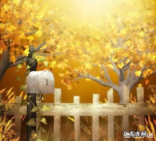 哪句话会让你感动?