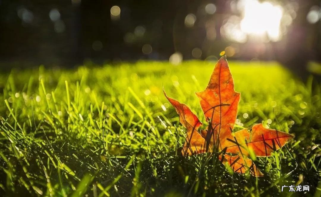 安慰伤心人的话