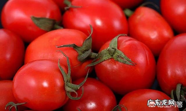 番茄红素的营养价值有哪些,番茄红素的作用及功效有哪些?