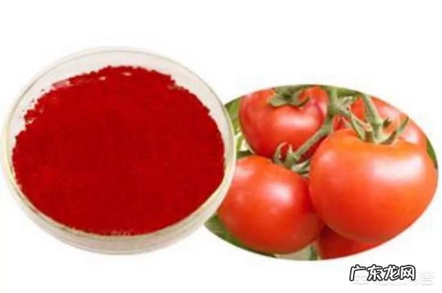 番茄红素的营养价值有哪些,番茄红素的作用及功效有哪些?