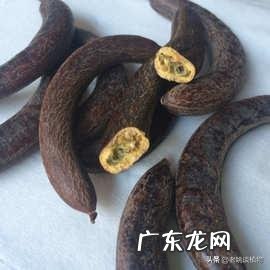 皂角为什么坐果率低?