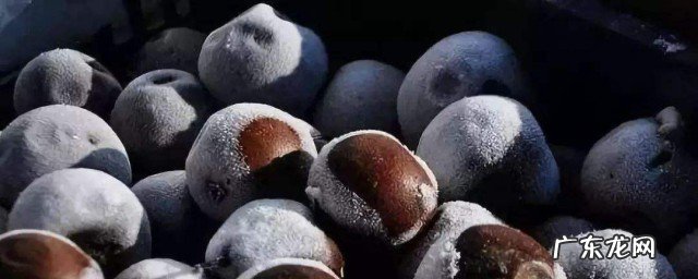 酸梨的功效与作用