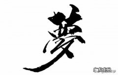 女朋友说她每天晚上都会做梦，真的有人天天做梦吗？为什么？