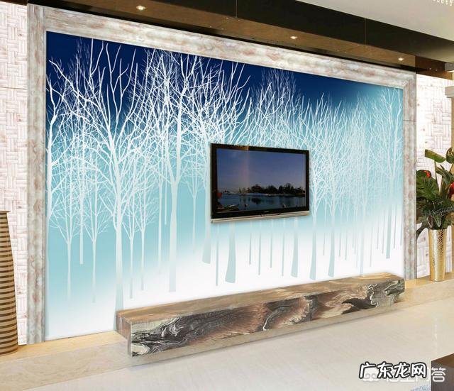 电视墙装哪种好看又不贵?