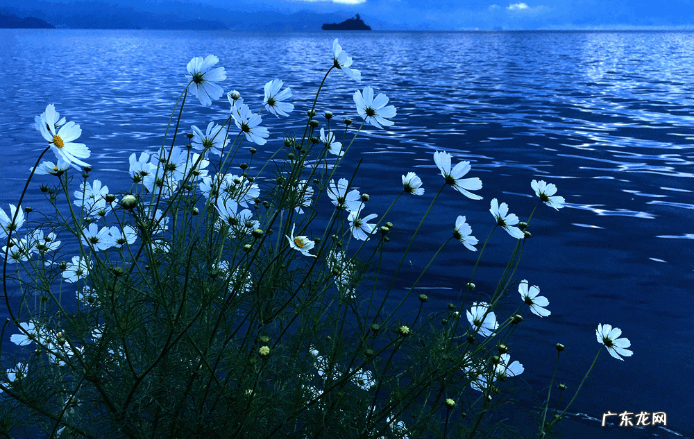 酷游记 电视剧 酷游记哪里可以看