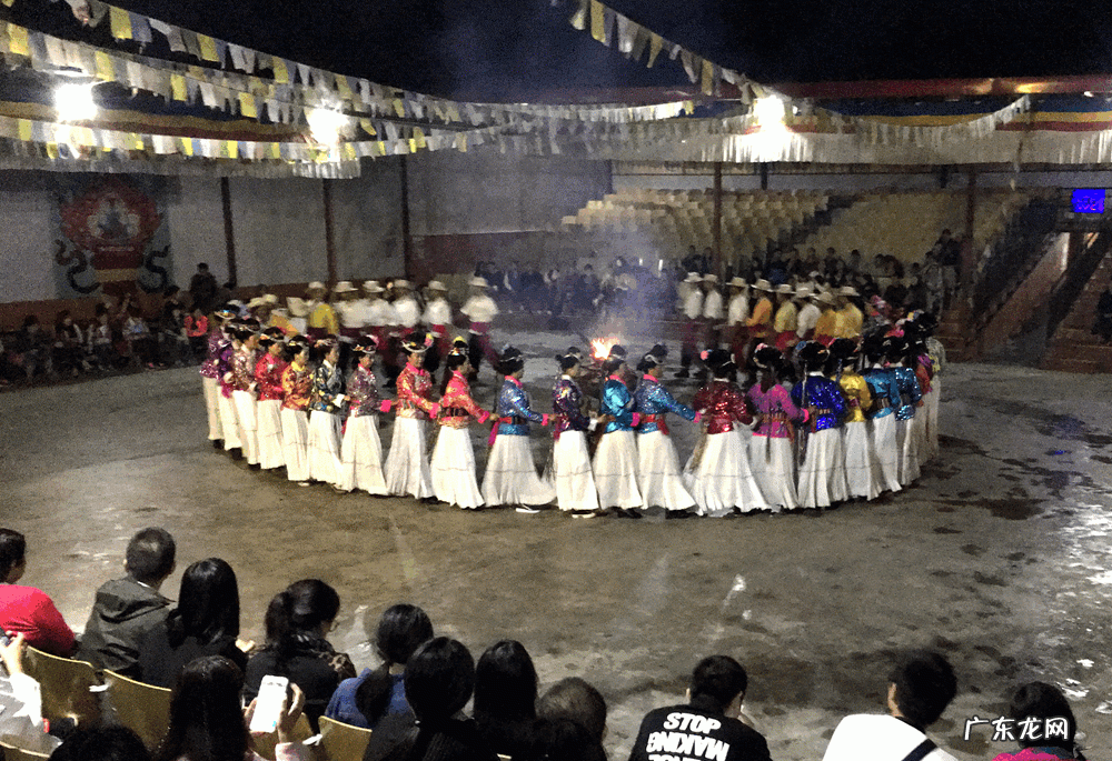 酷游记 电视剧 酷游记哪里可以看