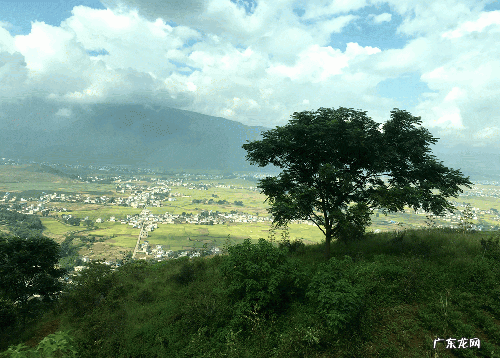 酷游记 电视剧 酷游记哪里可以看