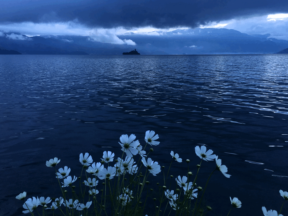 酷游记 电视剧 酷游记哪里可以看