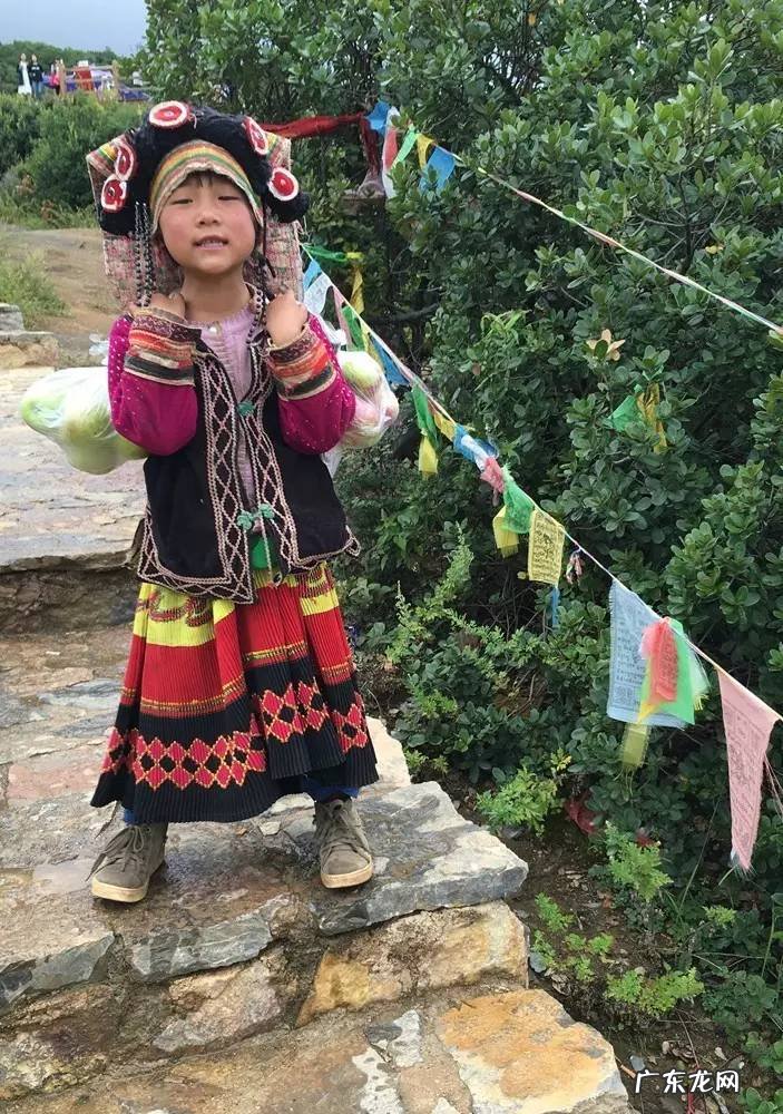 酷游记 电视剧 酷游记哪里可以看