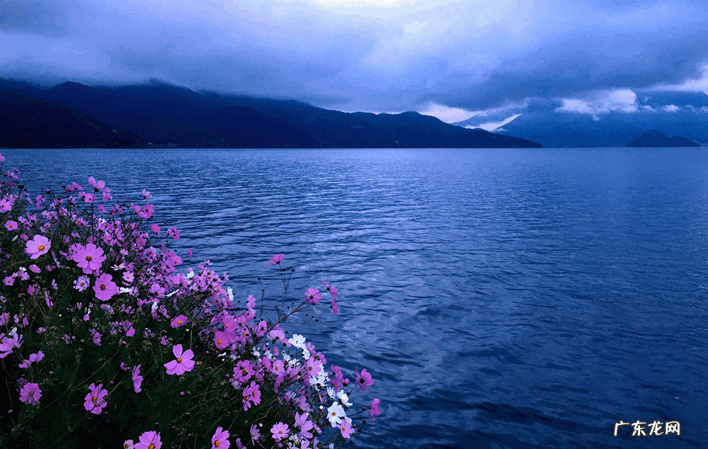 酷游记 电视剧 酷游记哪里可以看