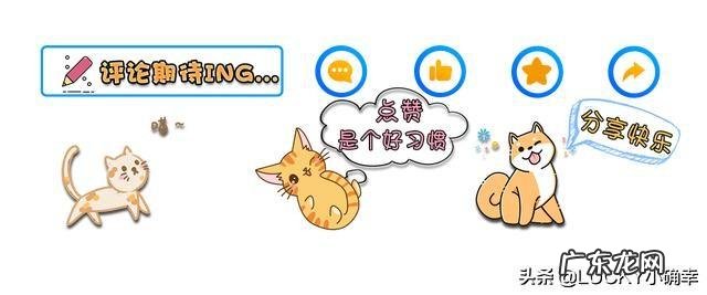 家里有宠物的朋友们,疫情对它们会有什么影响呢?