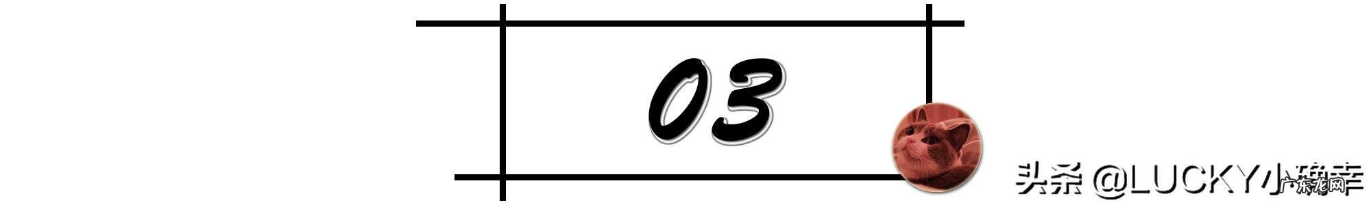 家里有宠物的朋友们,疫情对它们会有什么影响呢?