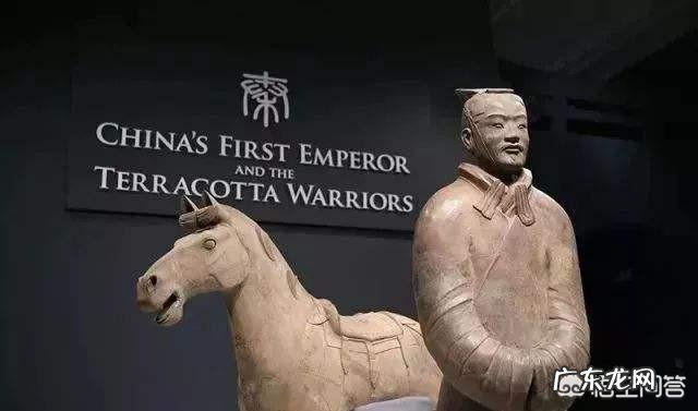 你都见过什么样的历史盲?