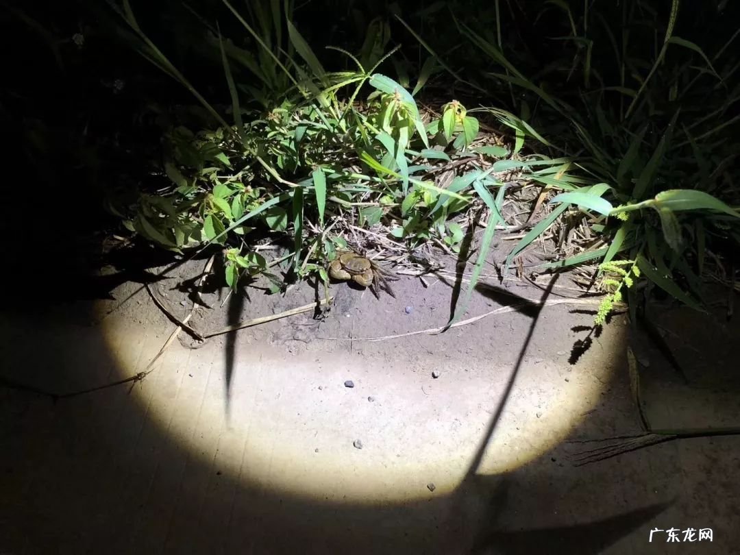 家庭农场游戏攻略 开心农场玩法攻略