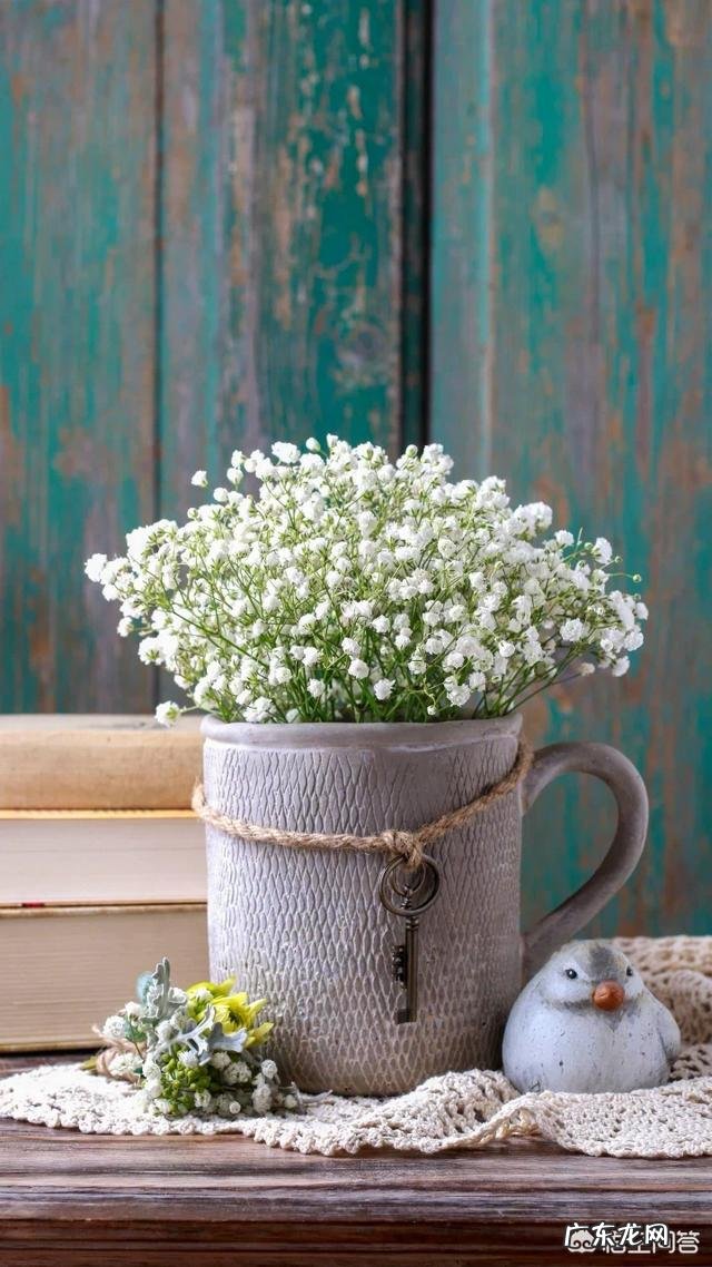 去图书馆要看什么书呢?有什么推荐?