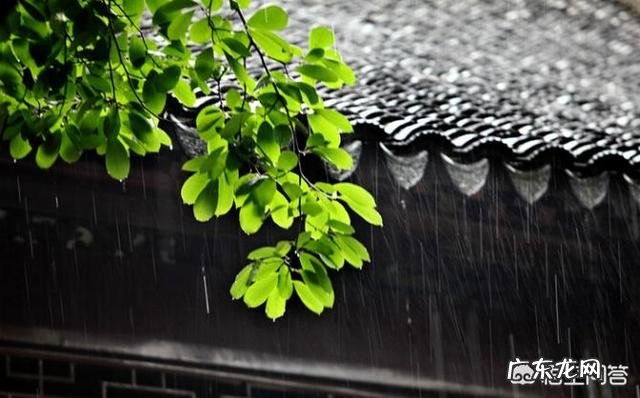 农村常说的梅雨季节是什么意思？为什么要叫梅雨呢？