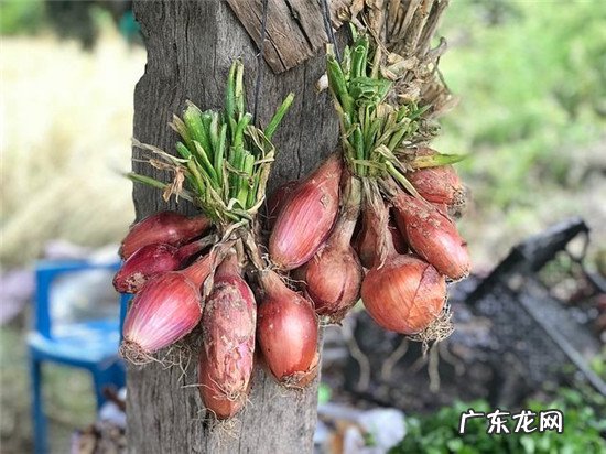 轻微先兆流产的症状 先兆流产的症状是什么样的