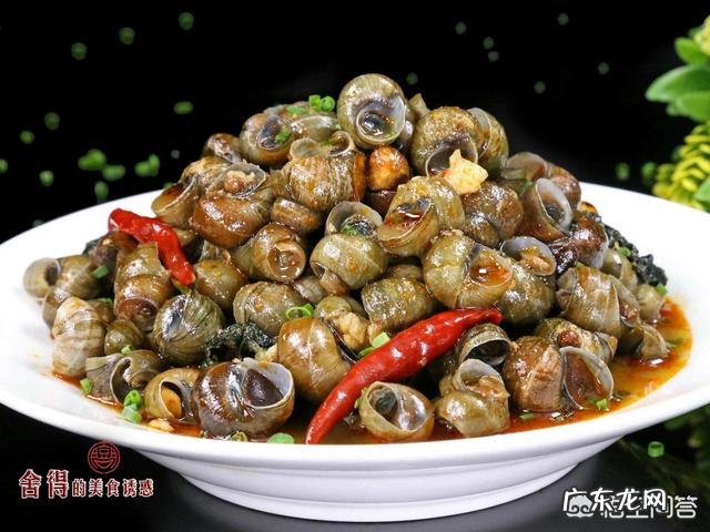 香辣田螺怎么做好吃?