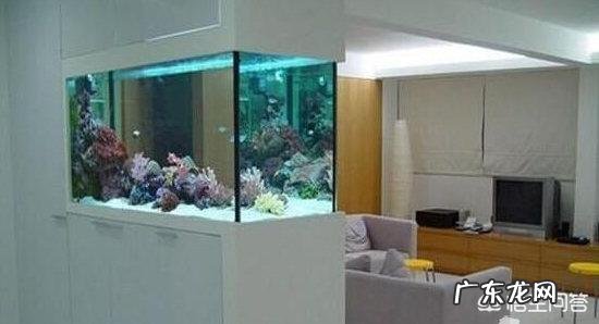 鱼缸摆放位置有哪些讲究?